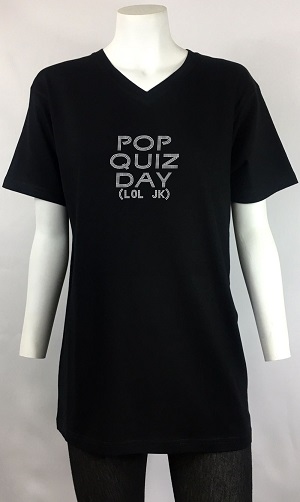 pop quiz day v-neck men